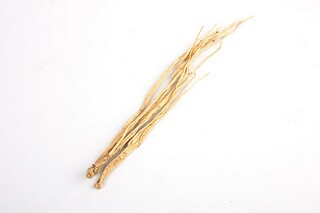 苏幕遮范仲淹诗词赏析（范仲淹的苏幕遮的译文）