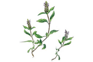 人生唯美的句子66条