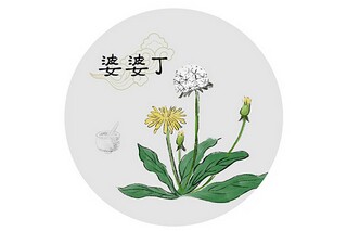 公务员辞职报告_公务员转正述职报告