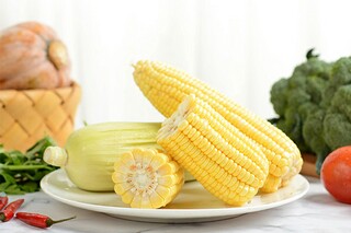 《会飞的教室》读书笔记最新（会飞的教室 阅读笔记）