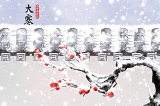 王安石的诗句（王安石的诗句梅花）