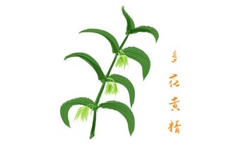 美丽的夕阳作文_美丽的夕阳 作文