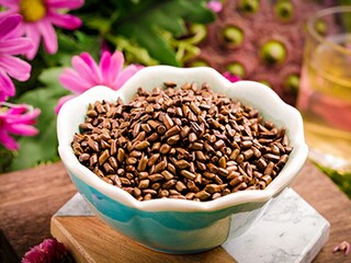 魔兽世界职业广告语_魔兽世界哪句宣传语吸引了你