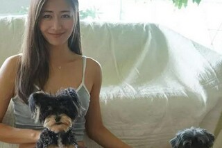 感恩的诗句（关于感恩的诗句）