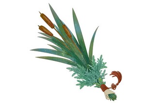 花的古代诗句_花的古诗词100首