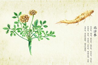 幼儿园母亲节创意活动教案（幼儿园母亲节创意活动教案设计）