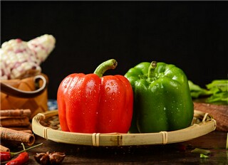 九年级月季花的说明文_月季花说明作文400