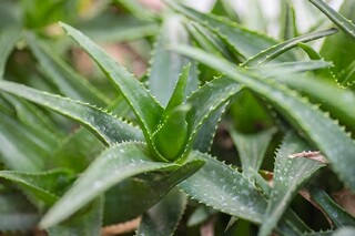 学校宿舍卫生的管理制度（学校宿舍卫生的管理制度及流程）