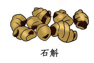 建立自己正确的消费理念作文（如何建立健康的消费观念）