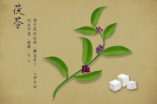 努力的励志句子（好好努力的励志句子）