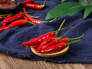 春天唯美诗歌座右铭句子_春天诗意的句子适合做标题29条