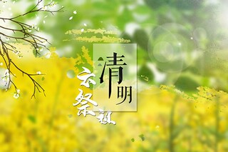 伤感的诗句（伤感的诗句越伤感越好）