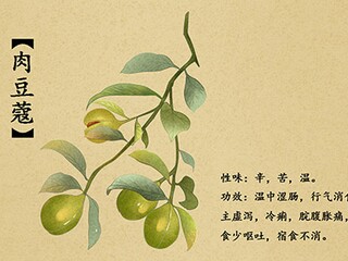 家乡的雾作文（家乡的雾的写话）