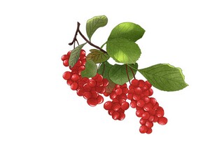 笑看人生路高三作文(笑看人生感悟)