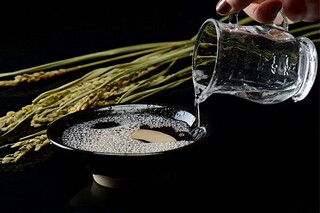 寄情暮秋诗歌_秋暮寄友人翻译