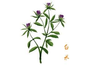 熟悉的反义词是什么_熟悉的反义词啊