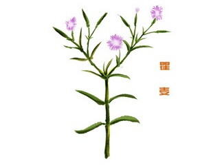 qq个性昵称摘抄_qq个性取名大全