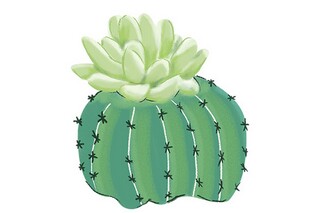 家乡的水库作文(描述家乡水库的景色)