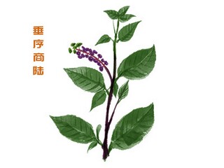 好整以暇的成语解释（好整以暇是褒义还是贬义）
