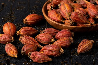 志气的句子摘抄（志气的句子摘抄简短）