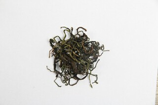 经典失恋的签名摘录77条（失恋的签名简短）