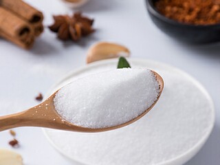 经典名著好句摘抄_经典名著好句摘抄及感悟
