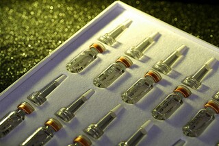 随风之叶诗歌_随风之恋的意思