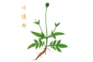 珍惜时间的句子（好好学珍惜时间的句子）
