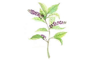 幼儿教师年终个人思想总结_幼儿教师个人年度思想总结