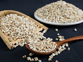 《我亲爱的仓鼠》的诗歌_《我亲爱的仓鼠》的诗歌怎么写