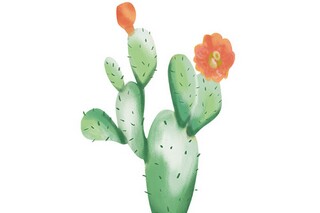 喜欢作文500字_喜欢对象500字作文