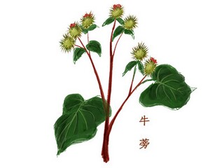 经典唯美母亲节祝福短句子（母亲节祝福语句子精选）