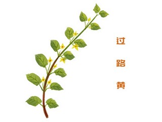 赞美下雪的简短句子（赞美下雪的简短句子大全）
