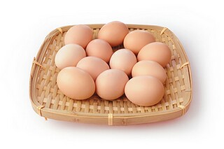 春天的古诗手抄报_春天的古诗手抄报六年级图片