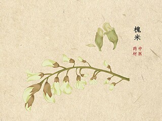 坚韧的近义词（坚韧的近义词和反义词）