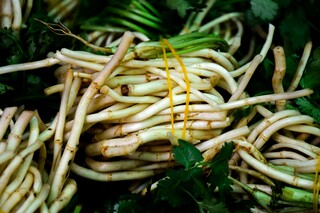 喜迎开学季活动文案_喜迎开学季活动文案范文