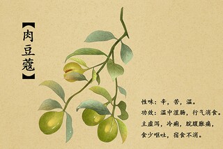 穿梭的近义词和造句_穿梭的近义词这是什么歌