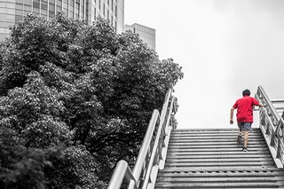 风的好句好诗（关于风的好句有哪些）