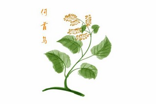 故乡的小河_故乡的小河歌词