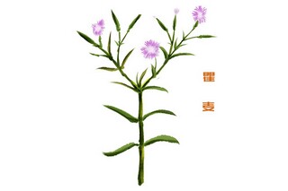 感恩的诗词（感恩的诗词有哪些）