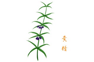 借物抒情作文_借物抒情的优秀作文