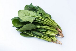 《南柯子·山冥云阴重》赏析及译文（南柯子 山冥云阴重）