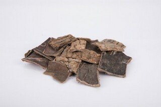 读书征文作文（读书征文作文开头和结尾）