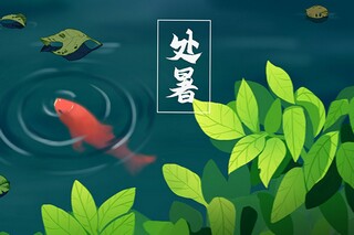 中班科学教案_沉与浮中班科学教案