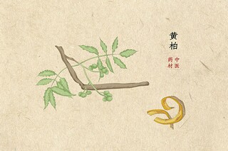 如果只有云知道的诗歌_如果云知道表达