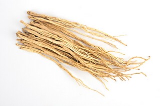 绘虫的诗句（绘虫的古诗句）