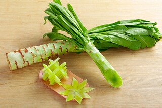 谷风原文翻译及赏析（谷风原文及翻译注音）