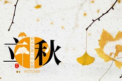 运输公司司机劳动合同