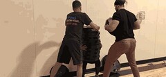 青春是无悔的作文