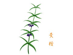 餐饮经理年终报告(餐饮经理年终总结及下年计划)